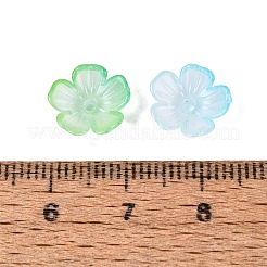 Transparent Plastic Bead Caps&nbsp;KY-Q005-02A-03