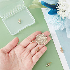 Brass Micro Pave Cubic Zirconia Charms&nbsp;KK-BBC0003-20