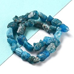 Raw Rough Natural Apatite Beads Strands&nbsp;G-P528-B04-01