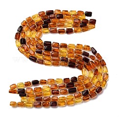 Gradient Color Natural Amber Beads Strands&nbsp;G-F803-D01-02