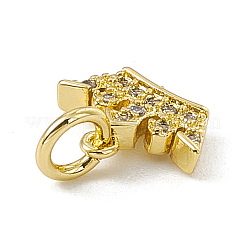 Brass Micro Pave Cubic Zirconia Charms&nbsp;ZIRC-F132-96G