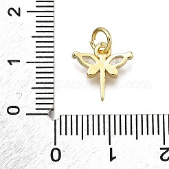 Rack Plating Brass Micro Pave Cubic Zirconia Pendants&nbsp;KK-D343-12G