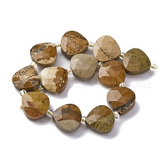 Natural Picture Jasper Beads Strands&nbsp;G-P570-E09-02