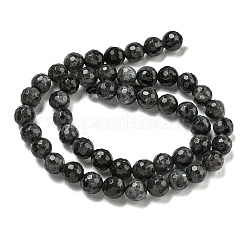 Natural Larvikite Beads Strands&nbsp;G-E571-A09-02