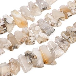 Natural Cherry Blossom Agate Beads Strands&nbsp;G-B187-B02-01