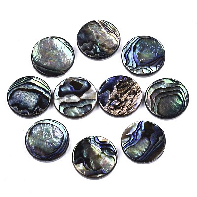 Natural Abalone Shell/Paua Shell Cabochons&nbsp;SSHEL-N034-72C-01-1