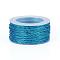 Nylon Metallic Cords, Dodger Blue, 1mm, about 20m/Roll