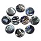 Natural Abalone Shell/Paua Shell Cabochons, with Freshwater Shell, Flat Round, Colorful, 20x3mm