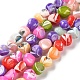 Natural Trochus Shell Dyed Beads Strands&nbsp;BSHE-E030-01-1