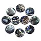 Natural Abalone Shell/Paua Shell Cabochons&nbsp;SSHEL-N034-72C-01-1