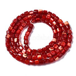Natural Trochid Shell/Trochus Shell Bead Strands&nbsp;SSHEL-N034-77-C02