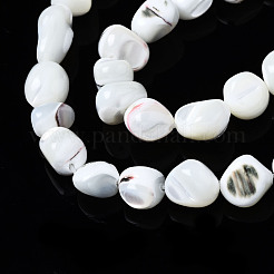 Natural Trochid Shell/Trochus Shell Beads Strands&nbsp;SSHEL-S266-015A