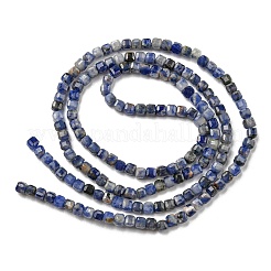 Natural Sodalite Beads Strands&nbsp;G-G0005-A01