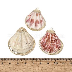 Brass & Natural Shell Pendants&nbsp;SH-CBA27C9-10