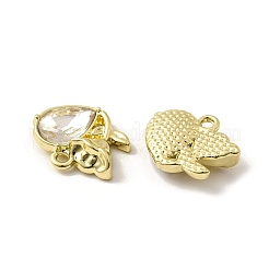 Alloy Pendants&nbsp;FIND-H015-22G