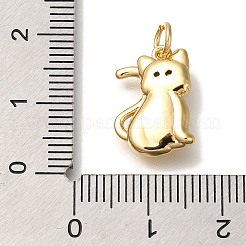 Rack Plating Brass Pendants&nbsp;KK-I720-07G