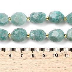 Natural Amazonite Beads Strands&nbsp;G-P541-A01-11