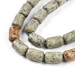 Natural Variscite Beads Strands&nbsp;G-N346-01B-14