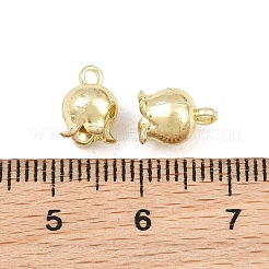 Alloy Charms&nbsp;AL-CBA43BE-19B-G