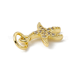 Brass Micro Pave Cubic Zirconia Charms&nbsp;ZIRC-F132-25G