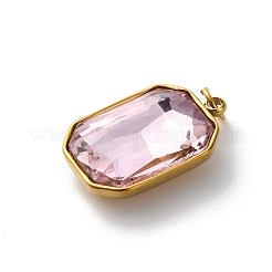 316 Stainless Steel Faceted Glass Pendants&nbsp;STAS-K258-48G-08