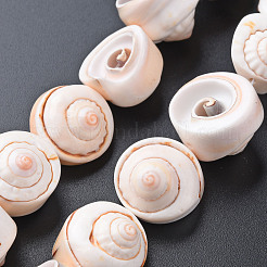 Natural Spiral Shell Bead Strands&nbsp;SSHEL-N034-106