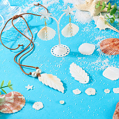 14Pcs 7 Styles Natural Freshwater Shell Pendants&nbsp;SHEL-TA0001-24