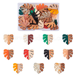 22Pcs 11 Colors Resin & Walnut Wood Pendants&nbsp;RESI-BT0001-06