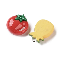 Opaque Resin Pendants&nbsp;RESI-I352-04P