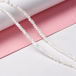 Natural Trochid Shell/Trochus Shell Beads Strands&nbsp;X-SSHEL-O001-24B-02