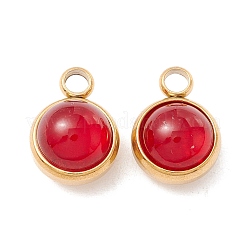 Natural Carnelian Charms&nbsp;G-K325-01G-05