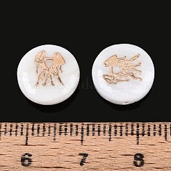 Natural Freshwater Shell Beads&nbsp;SHEL-N037-02G-G