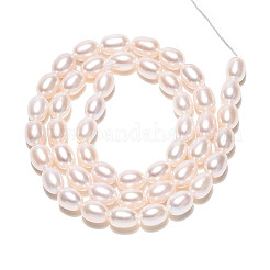 Natural Cultured Freshwater Pearl Beads Strands&nbsp;PEAR-N024-08