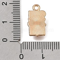 Alloy with White Enamel Pendants&nbsp;AL-CBA9E11-04KCG-01