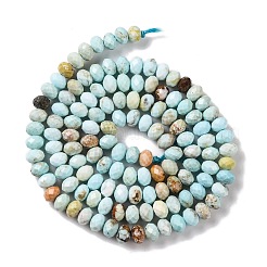 Natural Howlite Beads Strands&nbsp;X-G-H025-03C-09