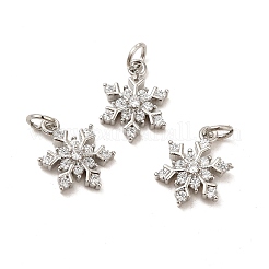 Rack Plating Brass Micro Pave Cubic Zirconia Charms&nbsp;KK-E081-15P