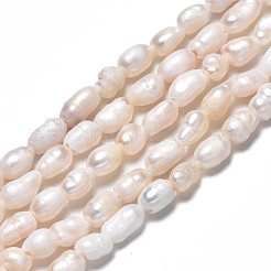 Natural Cultured Freshwater Pearl Beads Strands&nbsp;PEAR-N012-03C