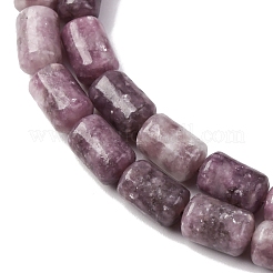 Natural Lepidolite Beads Strands&nbsp;G-F808-B01-01