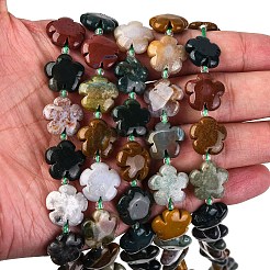 Natural Ocean Jasper/Ocean Agate Beads Strands&nbsp;G-D475-02D