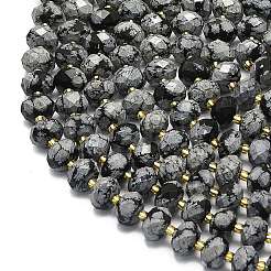 Natural Snowflake Obsidian  Beads Strands&nbsp;G-P573-A49-01