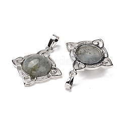 Natural Labradorite Pendants&nbsp;G-M385-06P-B