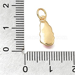 Brass Enamel Pendants&nbsp;KK-G605-12G-01