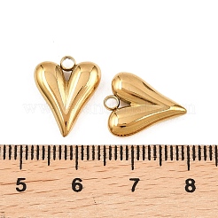 304 Stainless Steel Pendants&nbsp;X-STAS-P437-06G