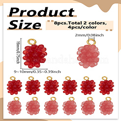 8Pcs 2 Colors Resin Pendants&nbsp;RESI-LP0001-52