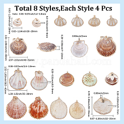 32Pcs 8 Styles Electroplated Natural Mixed Shell Pendants&nbsp;SSHEL-SC0001-62C