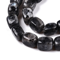 Natural Larvikite Beads Strands&nbsp;G-T138-106
