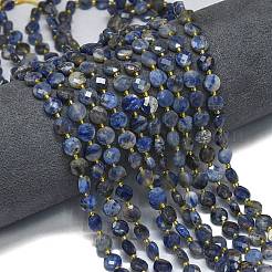 Natural Sodalite Beads Strands&nbsp;G-K389-B31-01