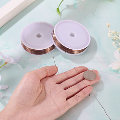 2 Rolls Baking Paint Iron Wire&nbsp;MW-TA0001-05B-03