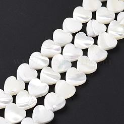 Natural Trochus Shell Beads Strands&nbsp;SSHEL-H070-06C