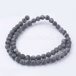 Natural Black Larvikite Bead Strands&nbsp;G-G735-57F-6mm